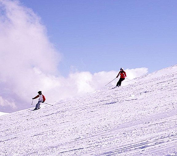 Olympische Wintersportarten: Skifahren