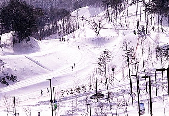 2018 zimní olympijské hry v Pyeongchangu