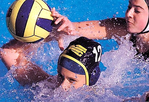 Summer Olympic Sports: Water Polo