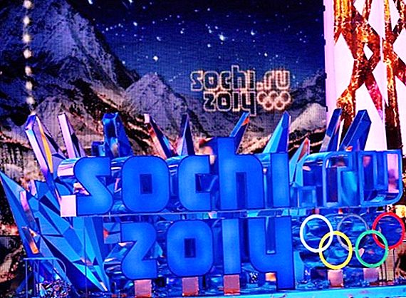 Was gibt es bei den Olympischen Winterspielen in Sotschi zu sehen?