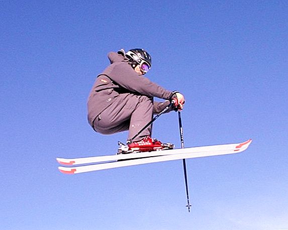 Winter Olympic Sports: Freestyle