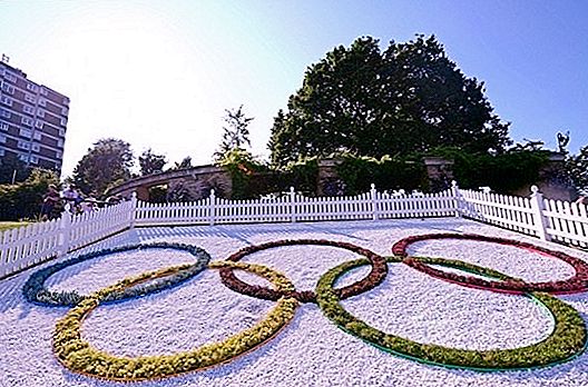 Kdo ne bo prišel na zimske olimpijske igre 2014