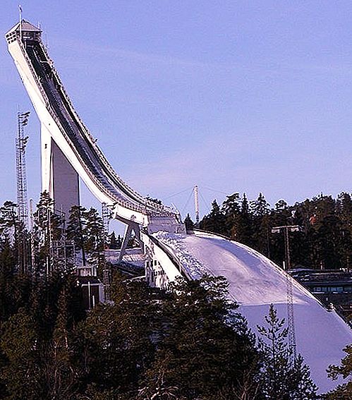 Зимни олимпийски спортове: ски скокове