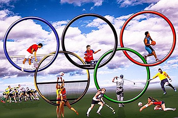 กีฬาประเภทใดที่รวมอยู่ในเกมโอลิมปิกฤดูร้อน