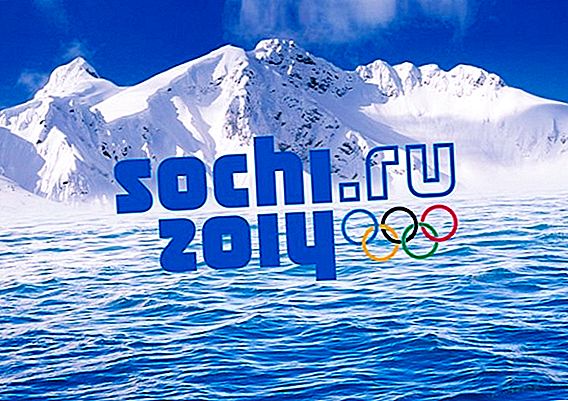 2014年ソチオリンピックに参加する国