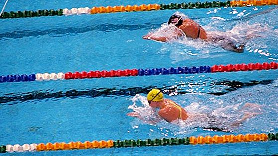Letné olympijské športy: plávanie