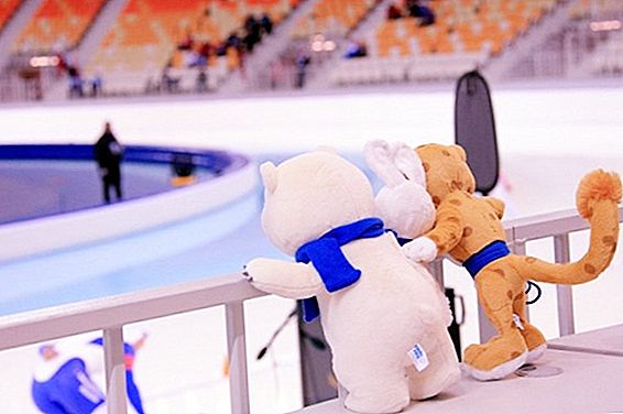 Kaip užsisakyti bilietus į olimpines žaidynes Sočyje