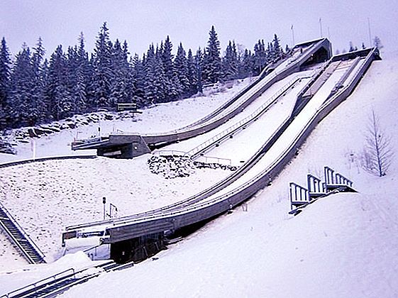 लिलीहैमर में 1994 शीतकालीन ओलंपिक
