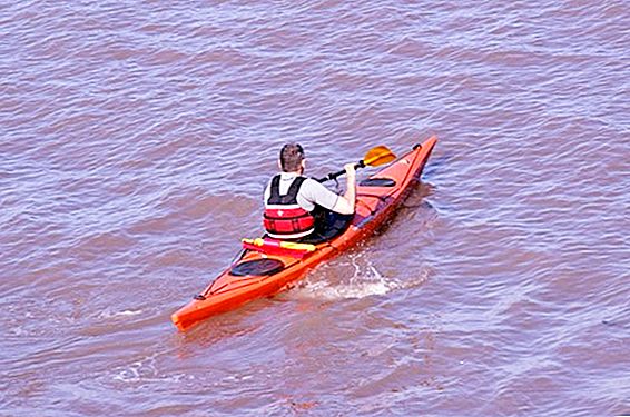 Sports olympiques d'été: kayak et canoë