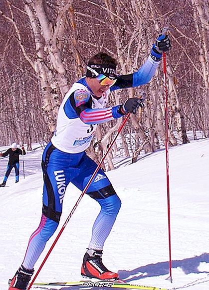 Vinter-olympiska sporter: längdskidåkning