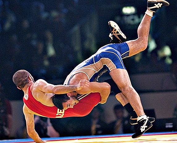 Olympische Sommersportarten: Wrestling